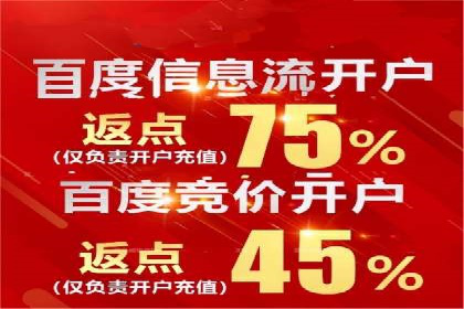 百度优化推广全解析：从零到一的流量增长